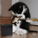  Roma, , 59  -  15  2014    