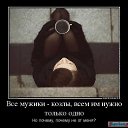 ���� ������, ������ - ��������� 12 ������� 2014 � ������ ������ ��������