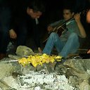 ���� ���������, ���� - ��������� 31 ����� 2014 � ������ ������ ��������