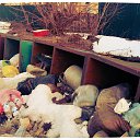 ���� �����, ��������� - ��������� 11 ������ 2014 � ������ ������ �����