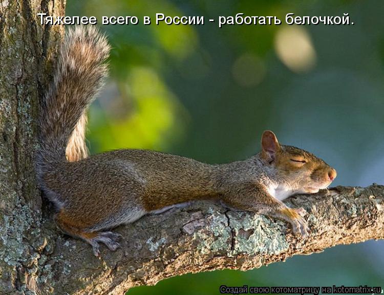 ��� ���������� � ���� - 10 ���� 2014 � 08:25