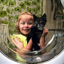 ���� ������, ������������ - ��������� 2 ������� 2014 � ������ ���� ����������