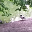 �����.... �� ������� �����