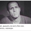 ���� ����, ������, 51 ��� - ��������� 15 ������� 2014 � ������ ������ ��������