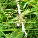 ���� �����, ������ �������� - ��������� 23 ����� 2014 � ������ �������� ������� ��������