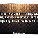 ���� �������, ������ ����� - ��������� 8 ������ 2014 � ������ ������ ��������