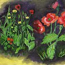 ���� ������, ����-�����, 45 ��� - ��������� 27 ����� 2014 � ������ ���� ������