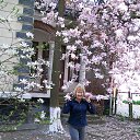 �������� ������ � ���� ������ ������