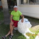 ���� ����, �����������, 56 ��� - ��������� 2 ���� 2014 � ������ ������ ��������