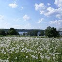 ���� �������, �������, 55 ��� - ��������� 22 ������� 2014 � ������ ����, ��� � ����.�