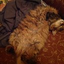 ���� ������, ������, 48 ��� - ��������� 25 ������ 2014