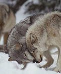 ���� ����������, ������ - ��������� 23 ������ 2014 � ������ ������ ������ , � � ����� � ��� �������