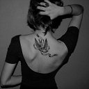 ���� �����, ����� - ��������� 14 ��� 2014