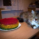 ���� �������, ����, 44 ���� - ��������� 21 ��� 2014 � ������ ���� ������� ��� ������ =)�