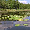 ���� �������, �����-��������� - ��������� 6 ������� 2014 � ������ ���� ����������