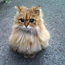 ���� �������, ������, 62 ���� - ��������� 27 ��� 2014