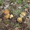 ���� ������, �������, 58 ��� - ��������� 12 ������� 2014 � ������ ������ ��������