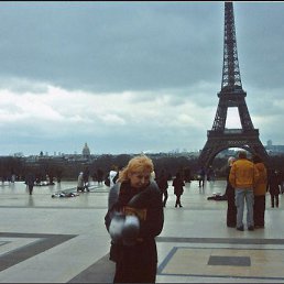 ����������� � ����� 2013 ���