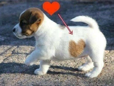 ������� ��� ���� �� �����! �� ������� ���� �����! :)