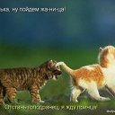 ���� ������, ���������, 42 ���� - ��������� 11 ������ 2014 � ������ �����������