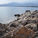 ���������� ����. �� ������� �Greece�
