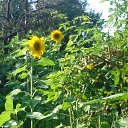 ���� ������, ����� - ��������� 1 ������� 2014 � ������ ���� ����������