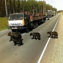 ���� �������, ����������, 73 ���� - ��������� 18 ���� 2014 � ������ ������ ��������