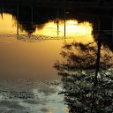 ���� �����, �����, 64 ���� - ��������� 21 ������� 2014 � ������ ������Ż