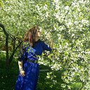 ���� ����, ����������, 47 ��� - ��������� 9 ��� 2014 � ������ ���� ����������