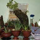 ���� Sofiane, ���� - ��������� 18 ������ 2014 � ������ �jardin�