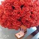 ���� Tatiana, ����������� - ��������� 22 ������ 2014 � ������ ������ ��������