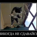 ���� Aleks, ������ - ��������� 14 ���� 2014 � ������ ��� ����