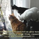 ���� Ta��, ������ - ��������� 4 ���� 2014 � ������ ������ ��������