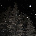 ���� ���������, ������������ - ��������� 27 ���� 2014 � ������ ���� ����������
