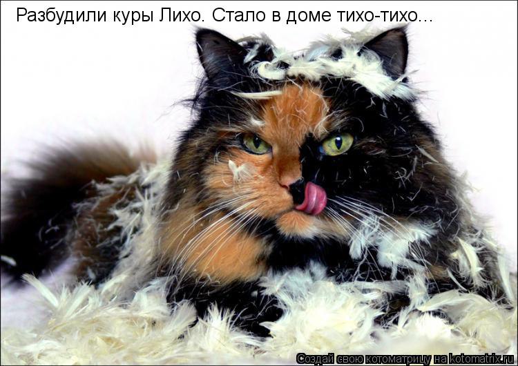 Marina - 10  2014  08:45