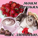 ���� �������, ���������� - ��������� 17 ��� 2014 � ������ ������������ � �����