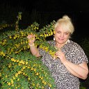 ���� ˸��, ������ - ��������� 20 ��� 2014 � ������ ������ ��������