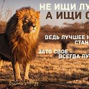 ���� ����, ��������, 52 ���� - ��������� 3 ��� 2014 � ������ ������ ��������