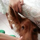 �������� �� ������� ���