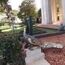 ���� David, ����� - ��������� 27 ��� 2014 � ������ ��������- � ������� � ����.�