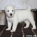 ���� ������, ������� - ��������� 10 ���� 2014 � ������ ������ ��������