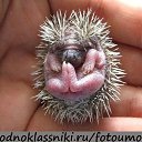 ���� ��, ������, 50 ��� - ��������� 10 ������� 2014 � ������ ����.........��������