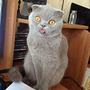 ���� ������, ������, 50 ��� - ��������� 30 ����� 2014 � ������ ���� ����������