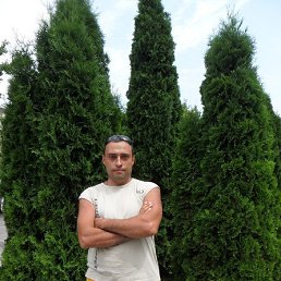 �������, �������, 49 ���