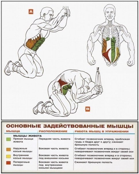 Упр на пресс в зале