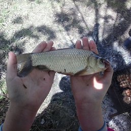 ���� ������, ���������, 49 ��� - ��������� 6 ���� 2014