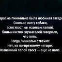 ���� �����, ����� - ��������� 11 ���� 2014 � ������ ������ ��������