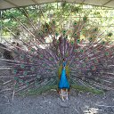 ���� �����, �����-��������� - ��������� 19 ���� 2014 � ������ ���� ����������