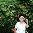 ���� �����, �����������, 73 ���� - ��������� 22 ����� 2014 � ������ ���� ����������