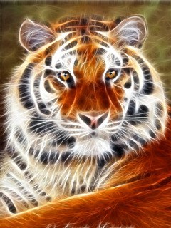 ����, ������, 49 ���